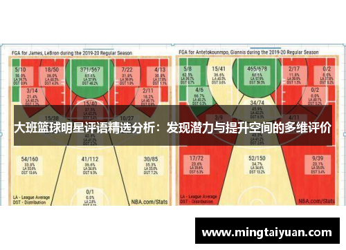 大班篮球明星评语精选分析：发现潜力与提升空间的多维评价